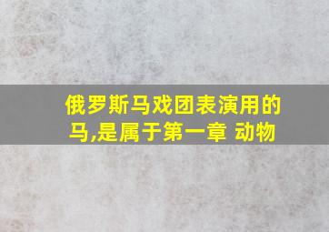 俄罗斯马戏团表演用的马,是属于第一章 动物